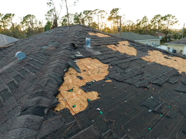 Best Roof Ventilation Installation  in Nash, TX